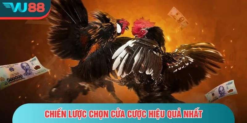 Đá Gà Thomo - Toàn Tập Từ Luật Chơi Đến Mẹo Đặt Cược Chiến lược chọn cửa cược hiệu quả nhất