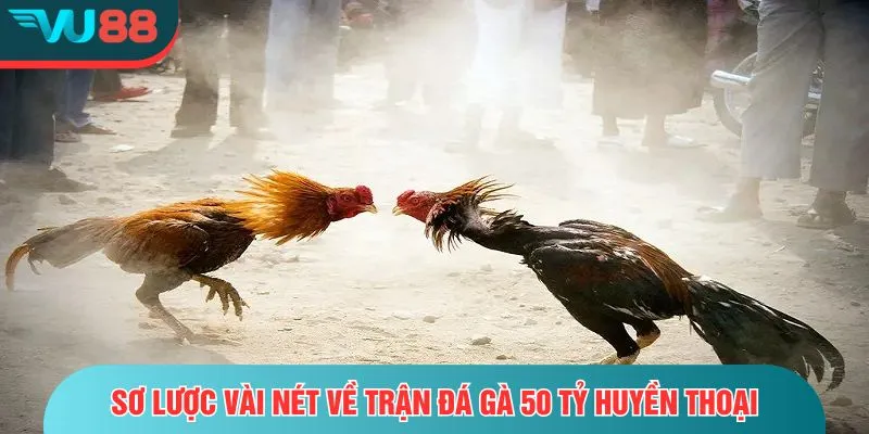 Trận Đá Gà 50 Tỷ - Toàn Cảnh Về Cuộc So Tài Của Hai Thần Kê Sơ lược vài nét về trận đá gà 50 tỷ huyền thoại