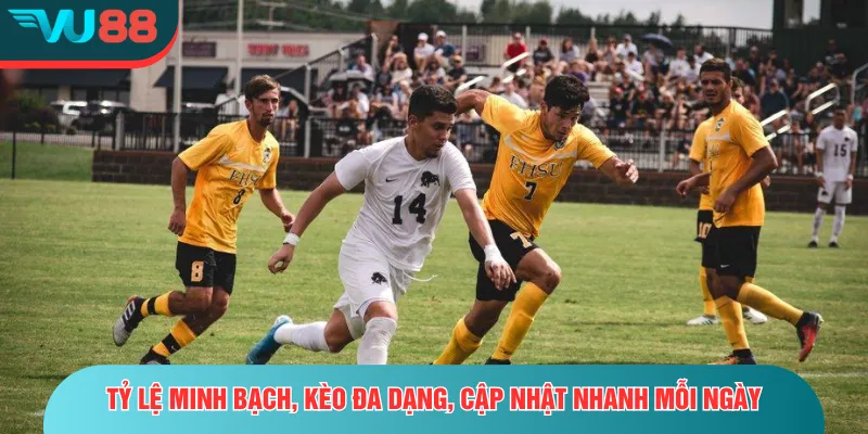 Sapa Sports - Sảnh Thể Thao Đỉnh Cao Tại Nhà Cái Uy Tín Tỷ lệ minh bạch, kèo đa dạng, cập nhật nhanh mỗi ngày